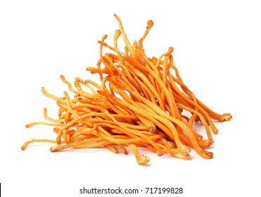 Cordyceps Mushroom