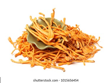 Cordyceps Sinensis Mushroom Isolated White Background Stock Photo ...