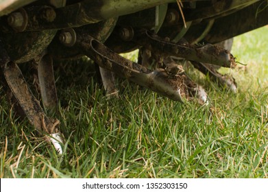 Core Aeration On Fescue Lawn With Aerator