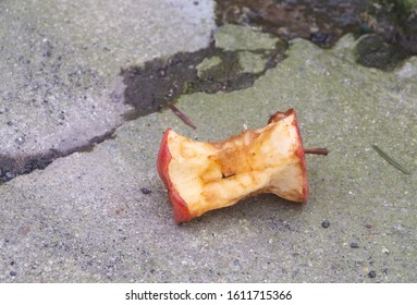 Core Of An Apple Discarded On The Road