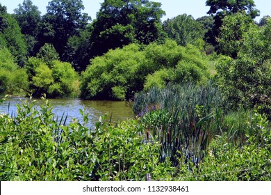 Core Creek Park, Bucks County PA