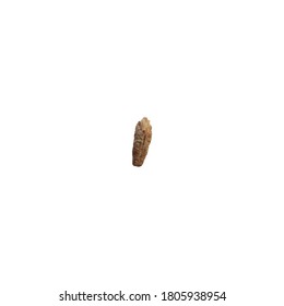 core of fruit dates isolated on white background