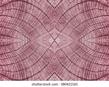 The Core Of Tree Consist Of Growth Rings And Deep Cracks./
Background Board Colorful Plywood  / Roy Depth Of Cracked Wood.
