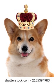 Corgi dog wearing a crown for the royal jubilee celebration cutout on a white background - Shutterstock ID 2155394983