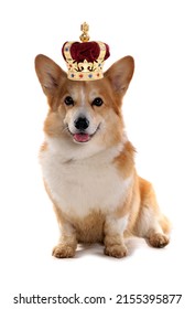 Corgi dog wearing a crown for the royal jubilee celebration cutout on a white background - Shutterstock ID 2155395877