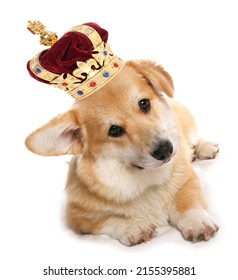 Corgi dog wearing a crown for the royal jubilee celebration cutout on a white background - Shutterstock ID 2155395881
