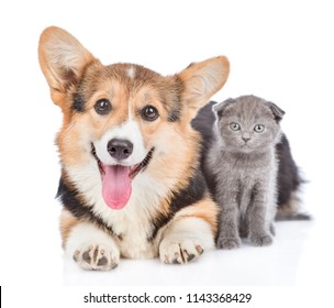 corgi puppy with open mouth lying with tiny kitten. Isolated on white background