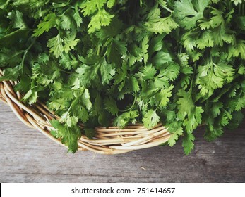 Coriander