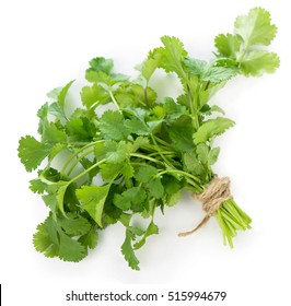 Coriander Bunch Isolated On White