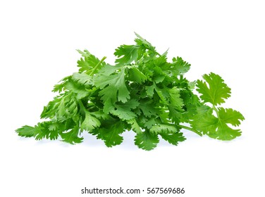 Coriander Isolated On White