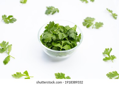 パクチー の画像 写真素材 ベクター画像 Shutterstock パクチー の画像 写真素材 ベクター画像 Shutterstock