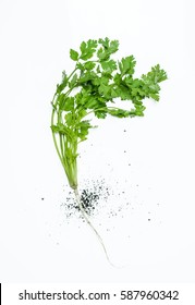 Japanese Parsley Images Stock Photos Vectors Shutterstock