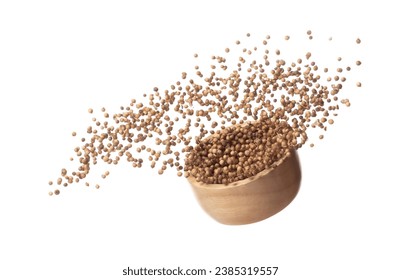 Coriander seed fly throw up in wooden bowl, brown coriander seed float explode, abstract cloud fly. Dried coriander seeds splash throwing in Air. White background Isolated high speed shutter, freeze