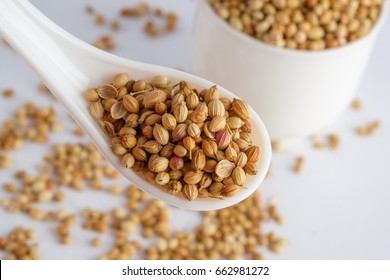 Coriander Seeds