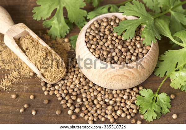 Coriander seeds\
and leaves on a wooden\
background