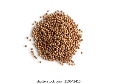 Coriander Seeds On White Background