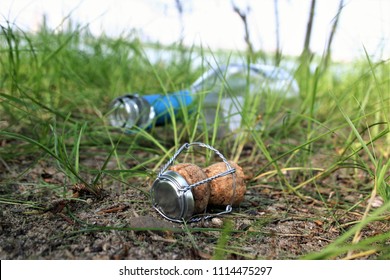 A cork from a bottle of champagne on the grass. - Powered by Shutterstock