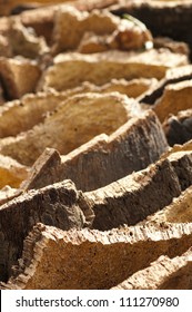 Cork Crust Natural Piece Wood Stock Photo 111270980 | Shutterstock