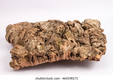 Cork Oak Harvested