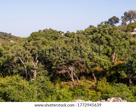 Similar – Image, Stock Photo Andalusian landscape