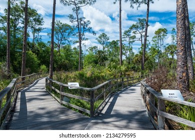 Corkscrew Swamp Sanctuary Boardwalk Entrance