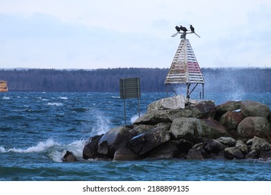 Cormorant Birds On The Second Biggest Lake In Sweden, Vättern