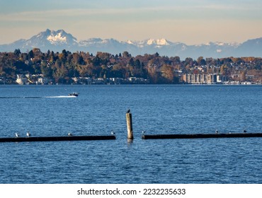 A cormorant drying itself on a piling with and a boat in Lake Washington and the Olympic Mountains and Seattle - Powered by Shutterstock