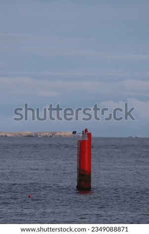 Cormorants on the beacon between Quiberon and Belle Ile en Mer in Brittany
