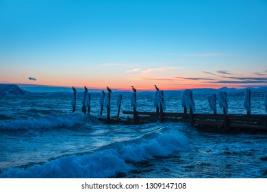 Cormorants perched on the wooden, frozen remains of an old, ruined pier above the  blue sea at sunset