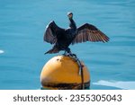 cormorat lake iseo villages on the shores of lake lovere iseo and monte isola italy