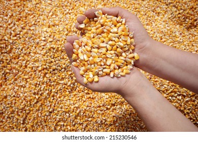 Corn