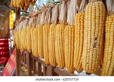 Corn