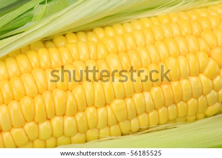 corn