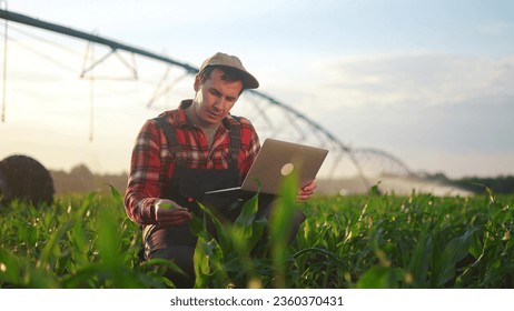 corn agriculture. male farmer works on a laptop in a field with green corn sprouts lifestyle. corn is watered by irrigation machine. irrigation agriculture business concept - Powered by Shutterstock