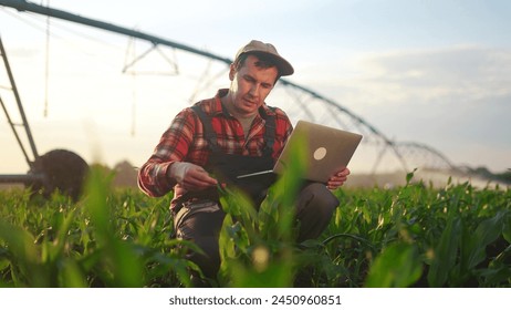 corn agriculture. male farmer works on a laptop in a field with green corn sprouts. corn is lifestyle watered by irrigation machine. irrigation agriculture business concept - Powered by Shutterstock