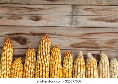 Corn background