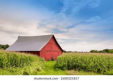 Corn Barn in the Summer