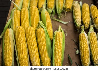 Corn In A Box At The Market. Autumn Harvest Sale. Thanksgiving Prep Concept