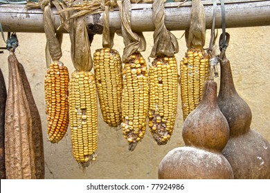Corn and calabash fruit drying