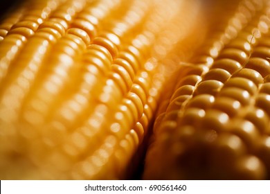 Corn, Close Up