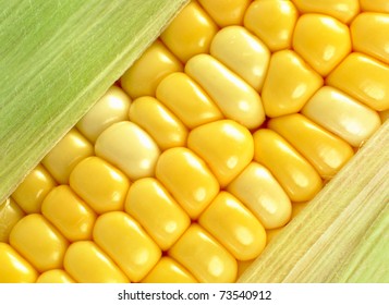 Corn Close Up