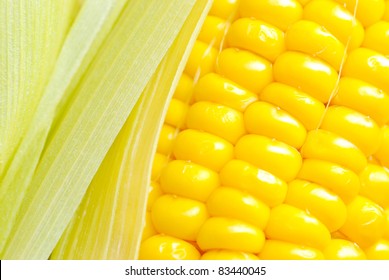 Corn Close Up