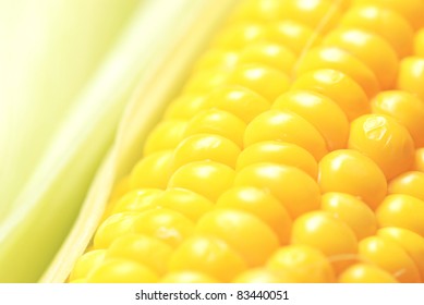 Corn Close Up