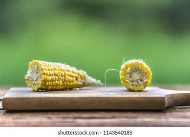 Corn cob isolated