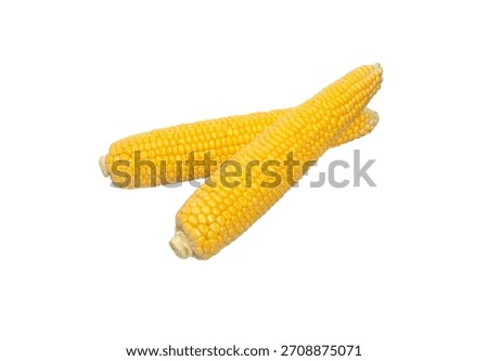 Corn cob isolated on white background. Sweet corn.