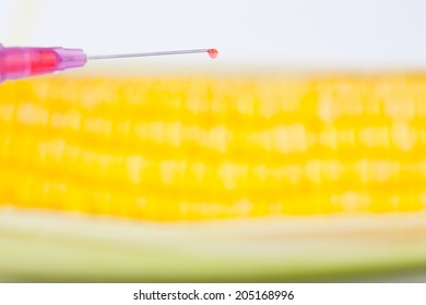 Corn Cob And Syringe / GM Maize