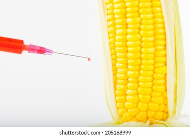 Corn Cob And Syringe / GM Maize