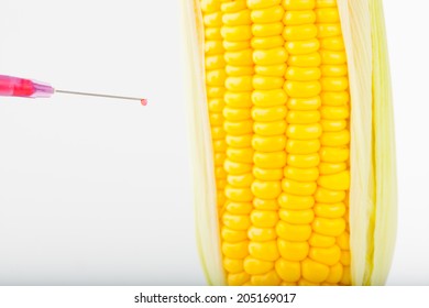 Corn Cob And Syringe / GM Maize