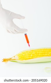 Corn Cob And Syringe / GM Maize