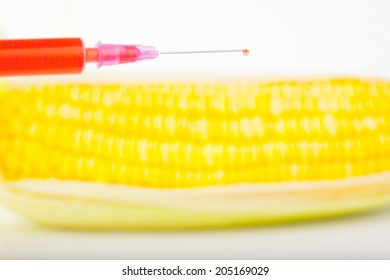 Corn Cob And Syringe / GM Maize